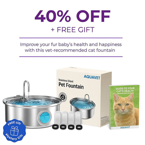 AquaVet™ - Vet-Grade Whisper-Quiet Hydration Technology